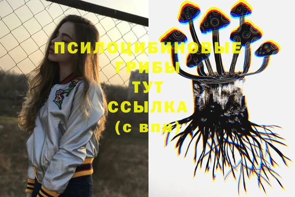 герыч Алзамай