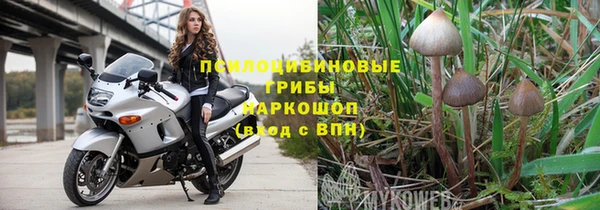 spice Алексеевка