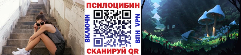 kraken как войти  Полевской  Галлюциногенные грибы GOLDEN TEACHER  цена  